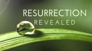 Resurrection (2014)
