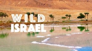 Wild Israel (2016)
