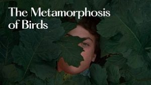 The Metamorphosis of Birds (2021)