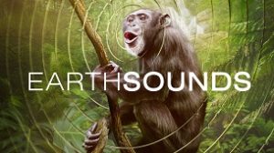 Earthsounds (2024)